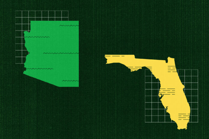 A photo illustration showing Arizona colored bright green and Florida colored in bright yellow. They are on separate ends of the canvas with small grid designs behind them.