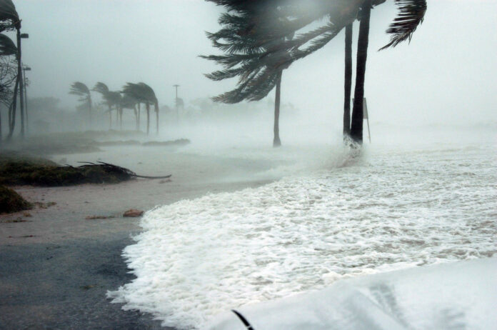 Hurricane Preparedness for Businesses | Scott Insurance