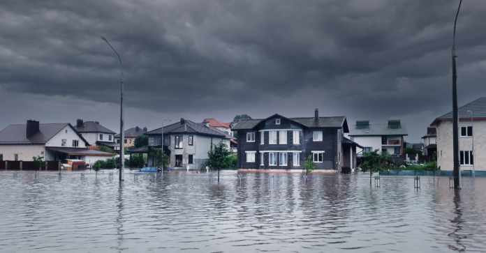 Climate Risk Management in Insurance: Trends and Takeaways