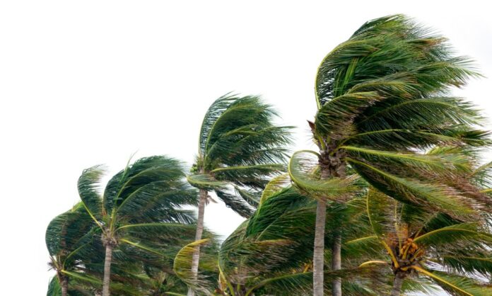 Swiss Re on the wild hurricane season and extreme heat's impact