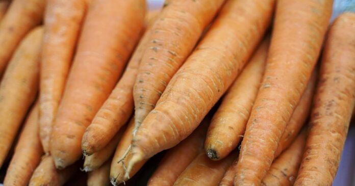 1 Dead, Dozens Sick After Eating Carrots Contaminated With E. Coli