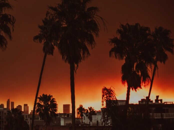 2025 Palisades wildfire in Los Angeles