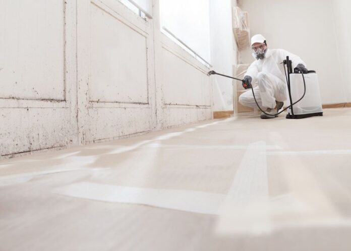 A worker performing mould remediation services