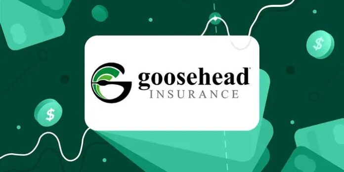 Goosehead Auto Insurance Review 2025